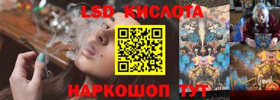 прущие грибы Кунгур