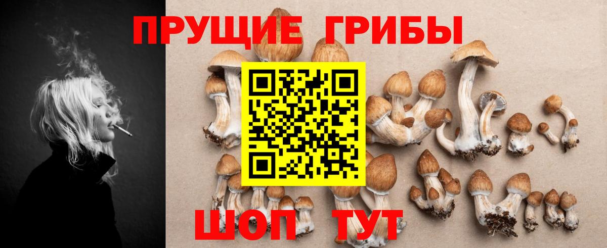 Псилоцибиновые грибы ЛСД  Вход с VPN  где купить наркотик  Сунжа 